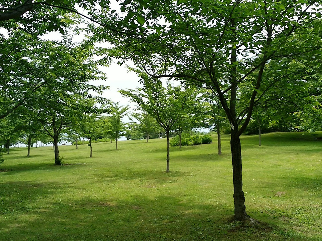 Fujimi Lake Park景点图片