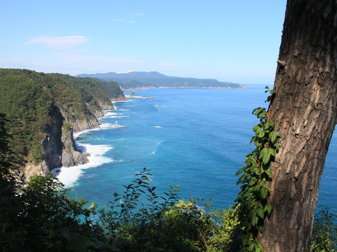 田野畑村旅游攻略图片