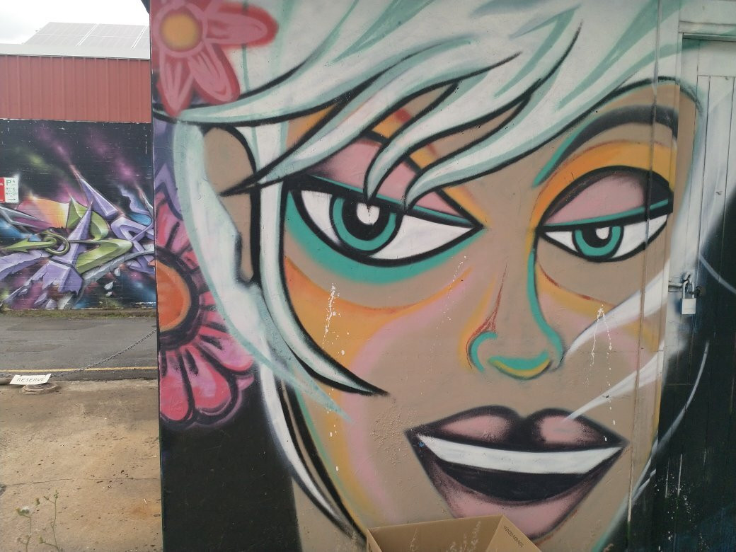 Back Alley Gallery-利斯莫尔必去景点