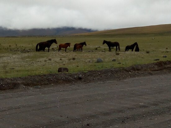 Cotopaxi National Park景点图片
