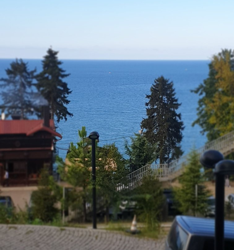 Hancioglu Çamburnu Orman Evleri (Bungalow) & Hotel主图