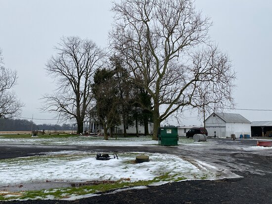 Cook Family Farm-纽瓦克必去景点