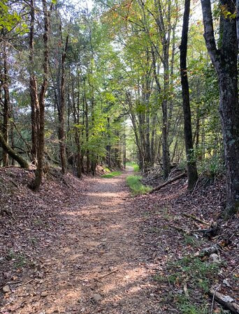 Pilot Knob Inn主图