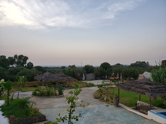 Zembretta Farm-Zembrettita-官方