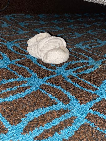 Fairfield by Marriott Inn & Suites Louisville North主图