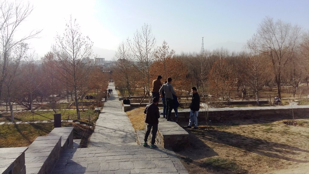 Gardens Of Babur景点图片