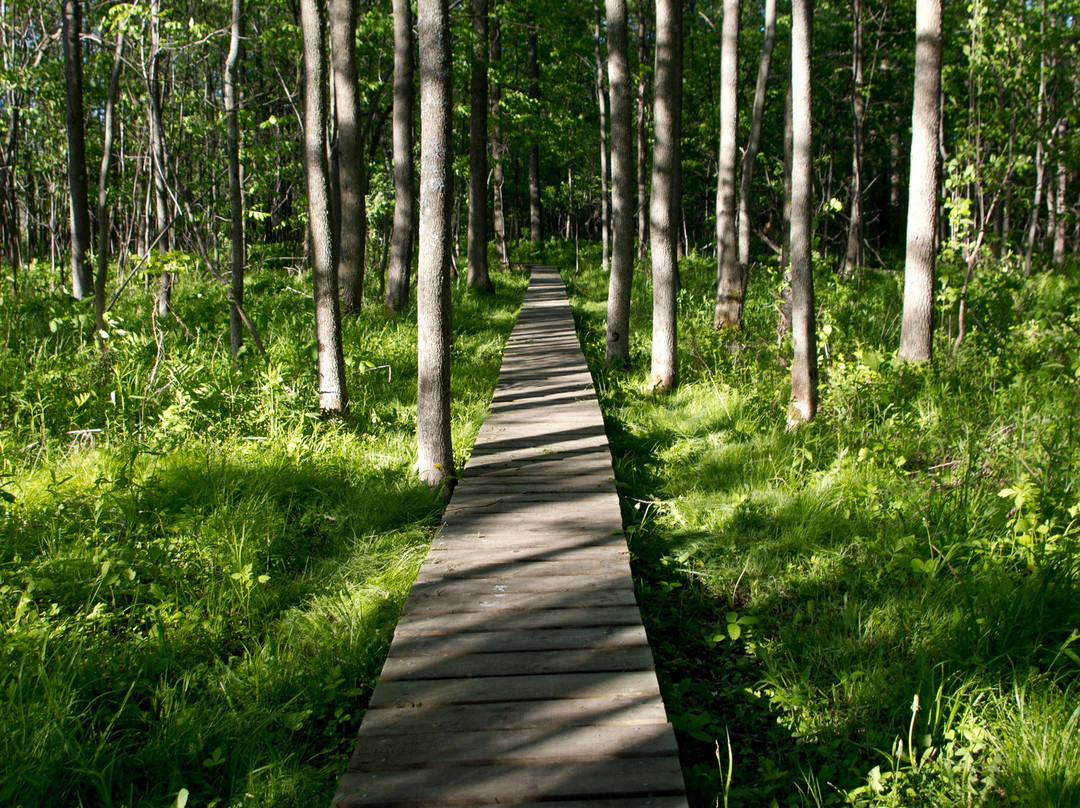 Reserve Nationale De Faune Du Lac-Saint-Francois景点图片