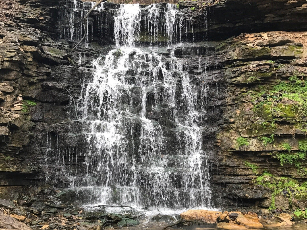法兰克福旅游攻略图片