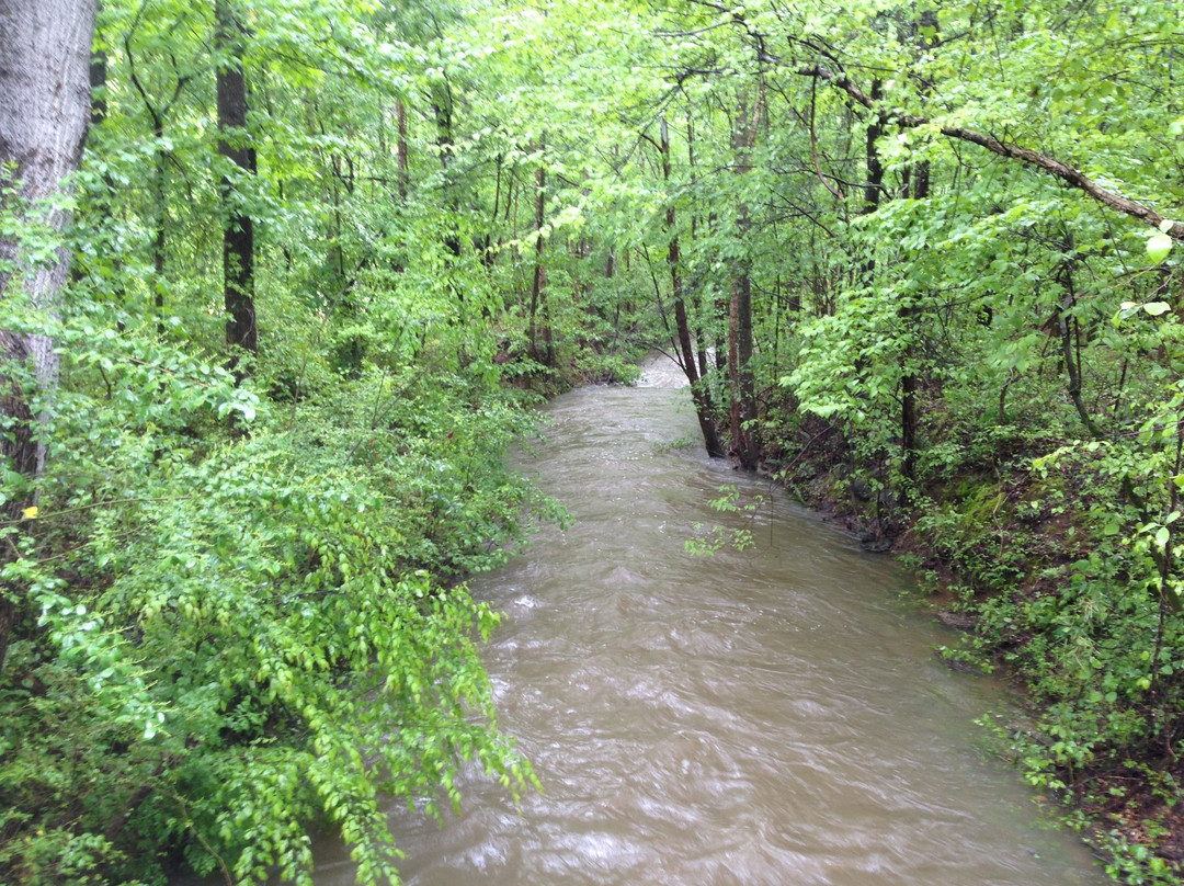 杜鲁斯旅游攻略图片