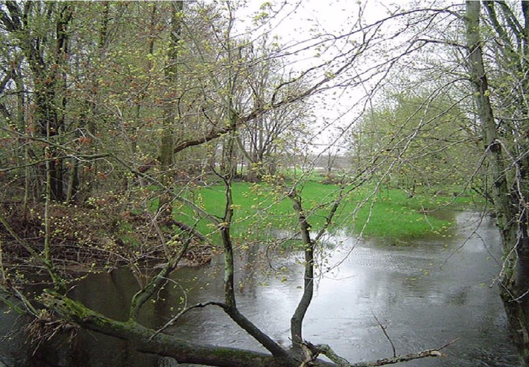 Lamont旅游攻略图片