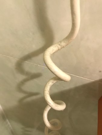 白宫公寓酒店-官方