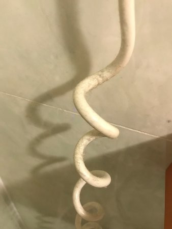 白宫公寓酒店主图