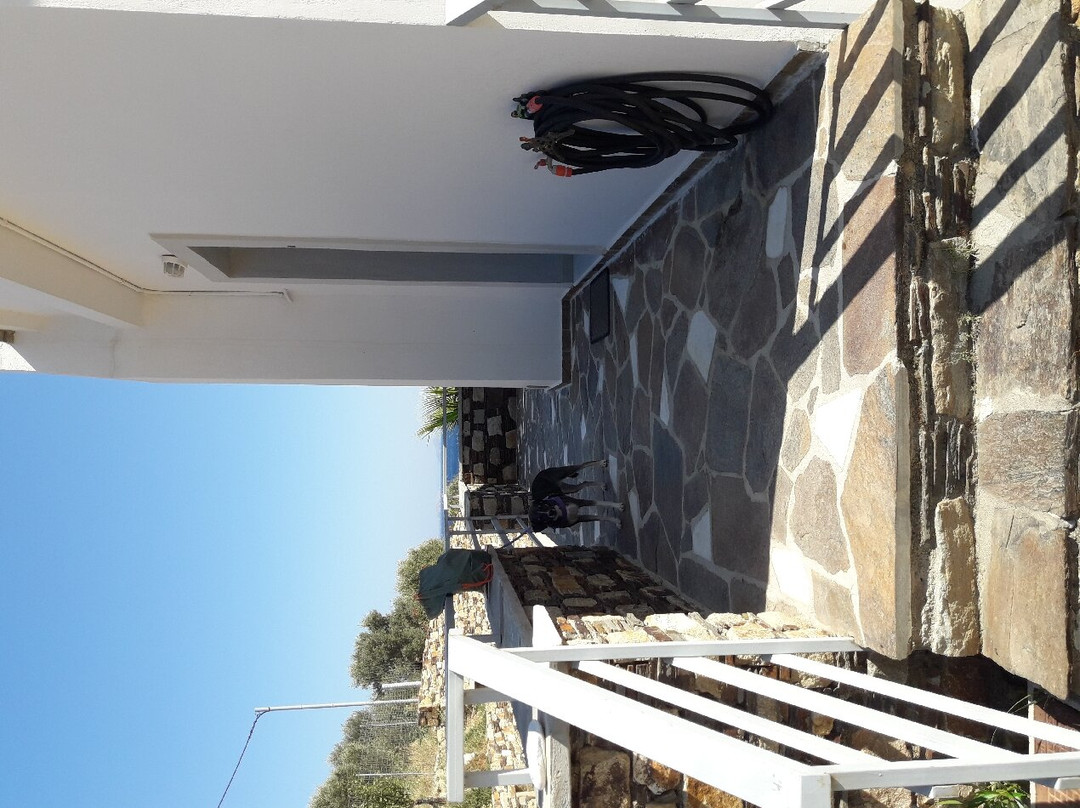 Blue SeaSide Studios主图