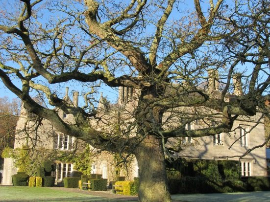 Lisnavagh House & Gardens