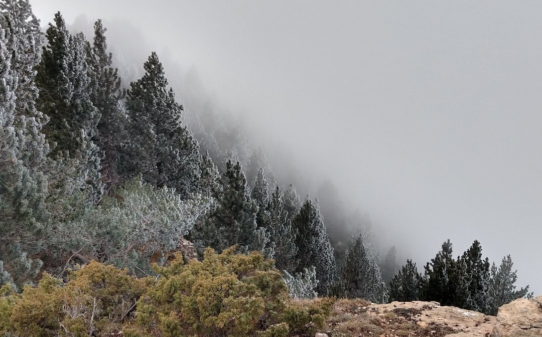 Castellar del Riu旅游攻略图片