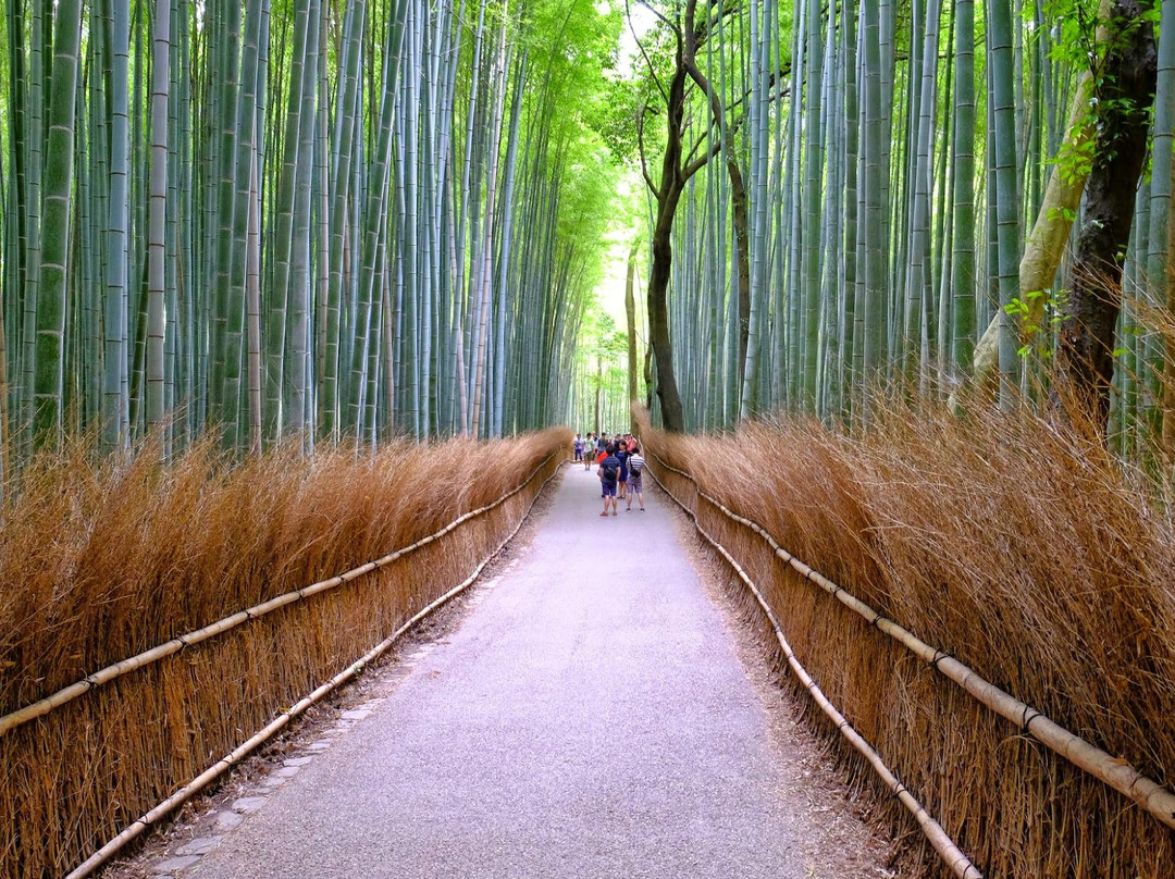 岚山-京都市必去景点