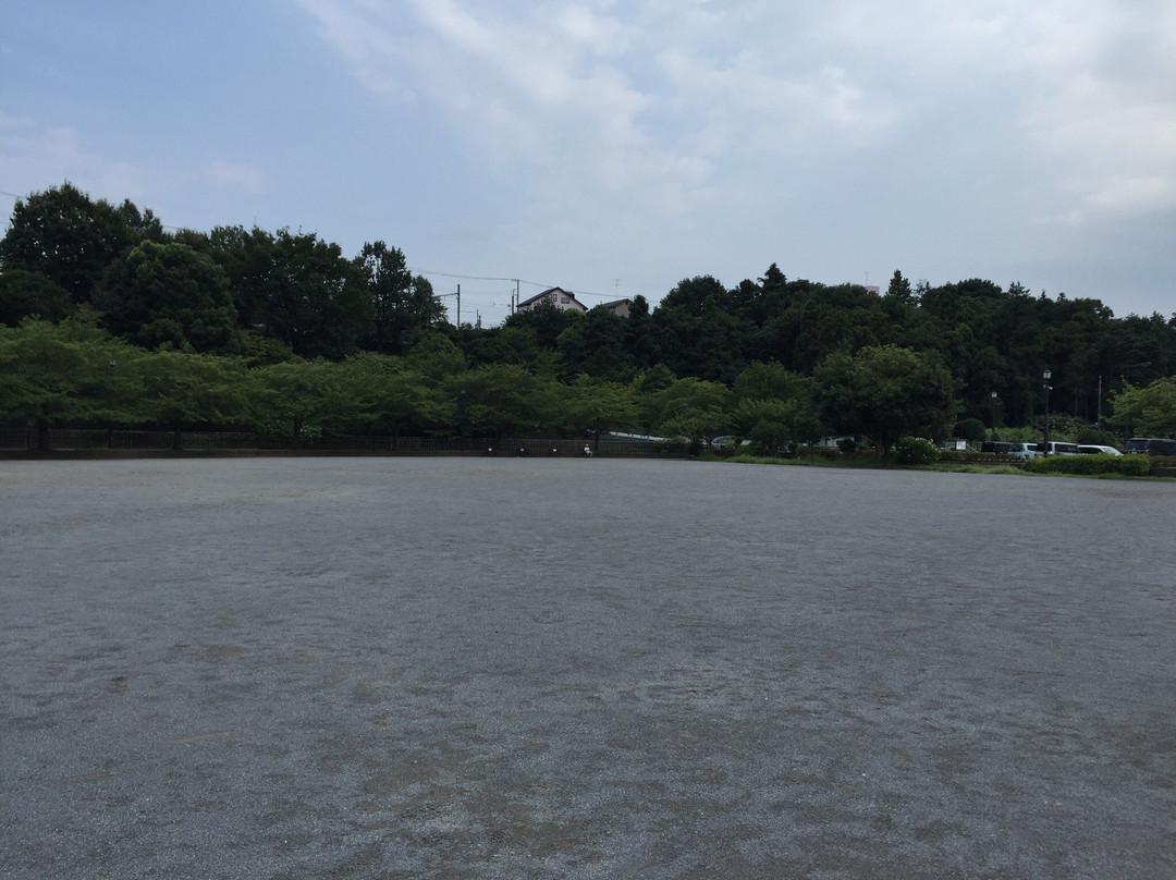 Hokubu Park景点图片