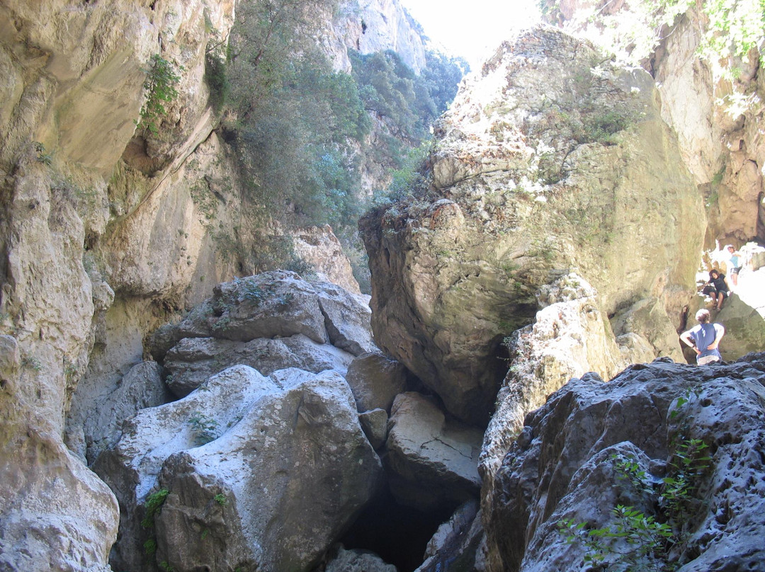 St. Anthony Gorge (Gorge of Patsos)景点图片