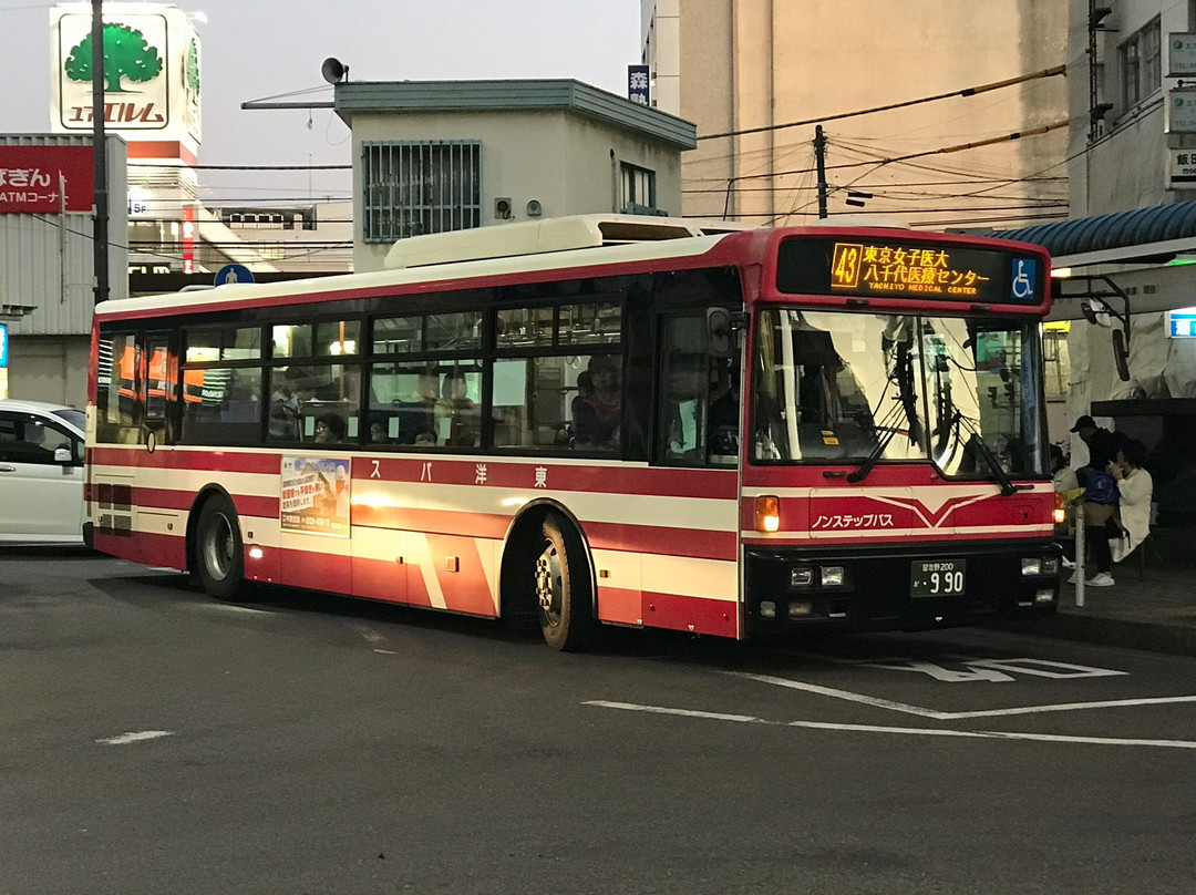 Toyo Bus景点图片