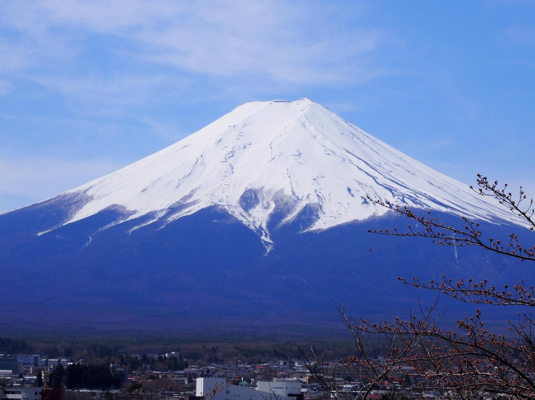 富士山景点图片