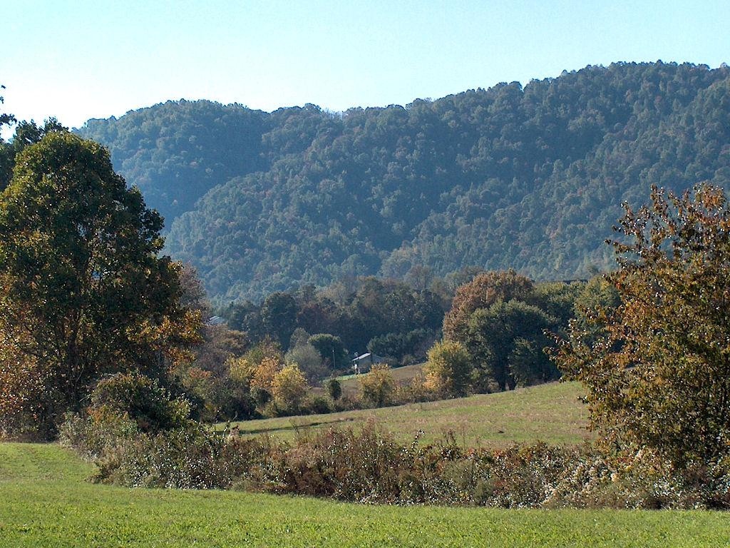 Lovingston旅游景点-Mountain Cove Vineyards