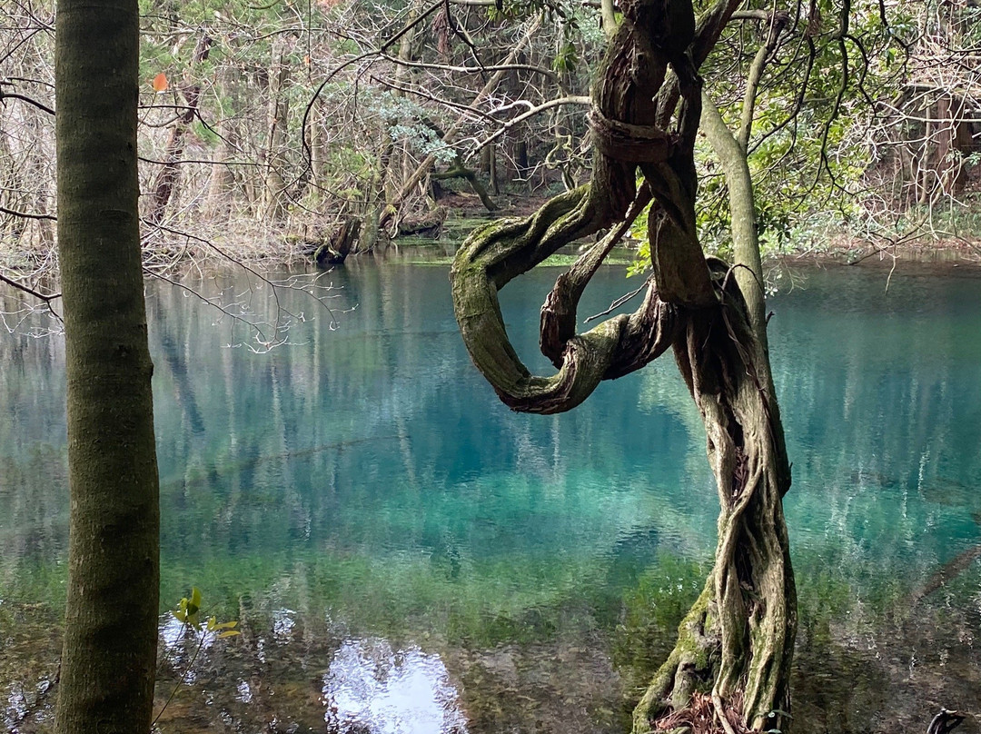 Maruiikesama Pond景点图片