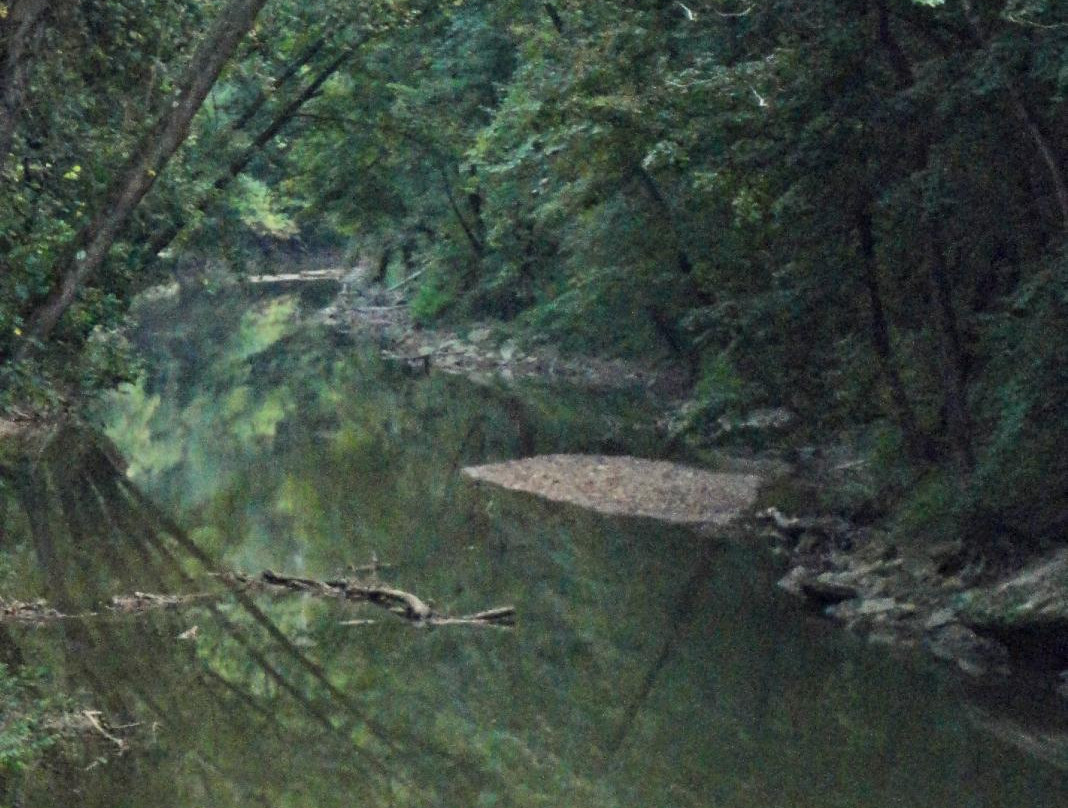 Red River Outdoors (Cabins - Guiding - Outfitter)