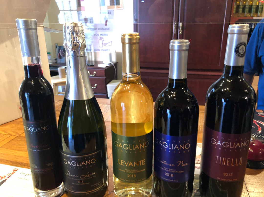 Frelighsburg旅游景点-Vignoble Gagliano