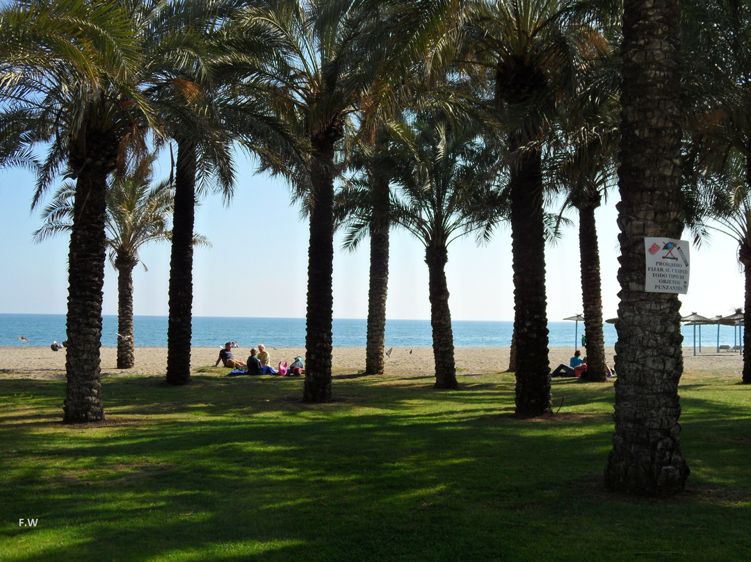 Playa El Bajondillo景点图片