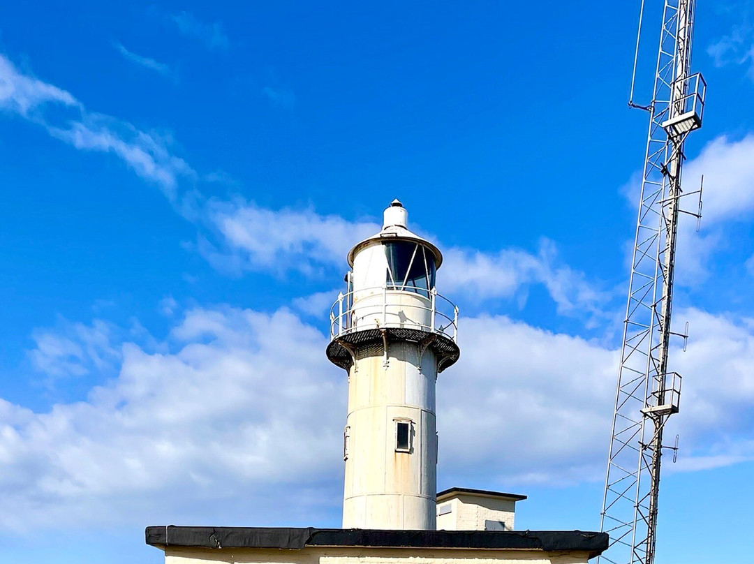 The Heugh Lighthouse景点图片