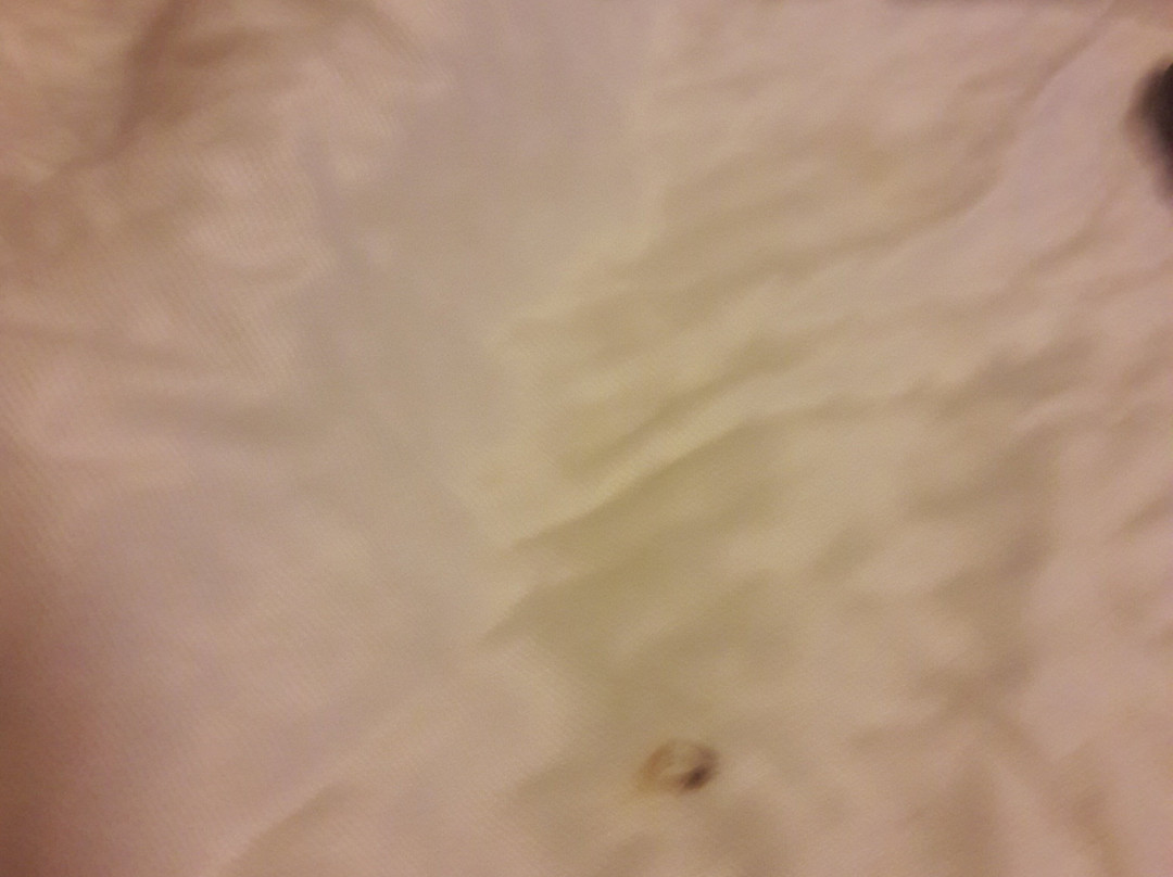 Red Roof Inn West Monroe主图