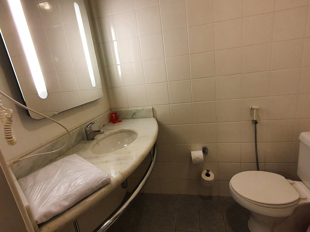 宜必思若茵维莱酒店主图