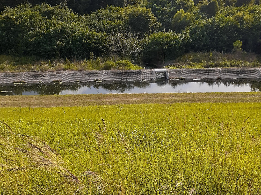 Se7en Wetlands-莱克兰必去景点