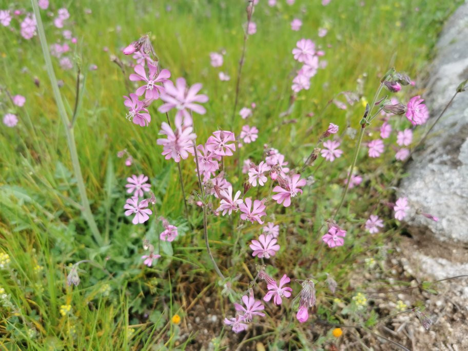 Mirador De La Calle Del Canal-Galapagar必去景点