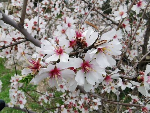 Calzada Romana-Galapagar必去景点