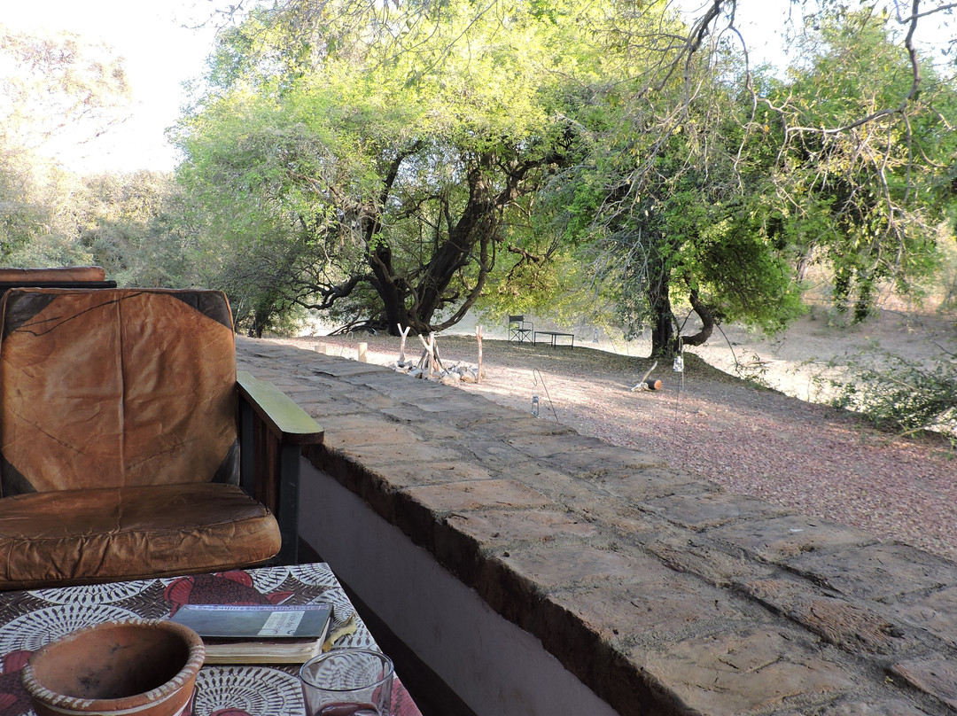 Zakouma National Park-乍得必去景点