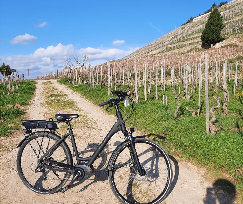 Stations Bee's Tournon-sur-Rhone - Location vélos électriques景点图片