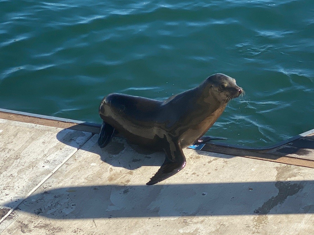 Burton W. Chace Park-玛丽安德尔湾必去景点
