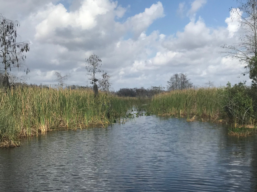 Tippy's Outpost Airboat Rides-奥乔皮必去景点