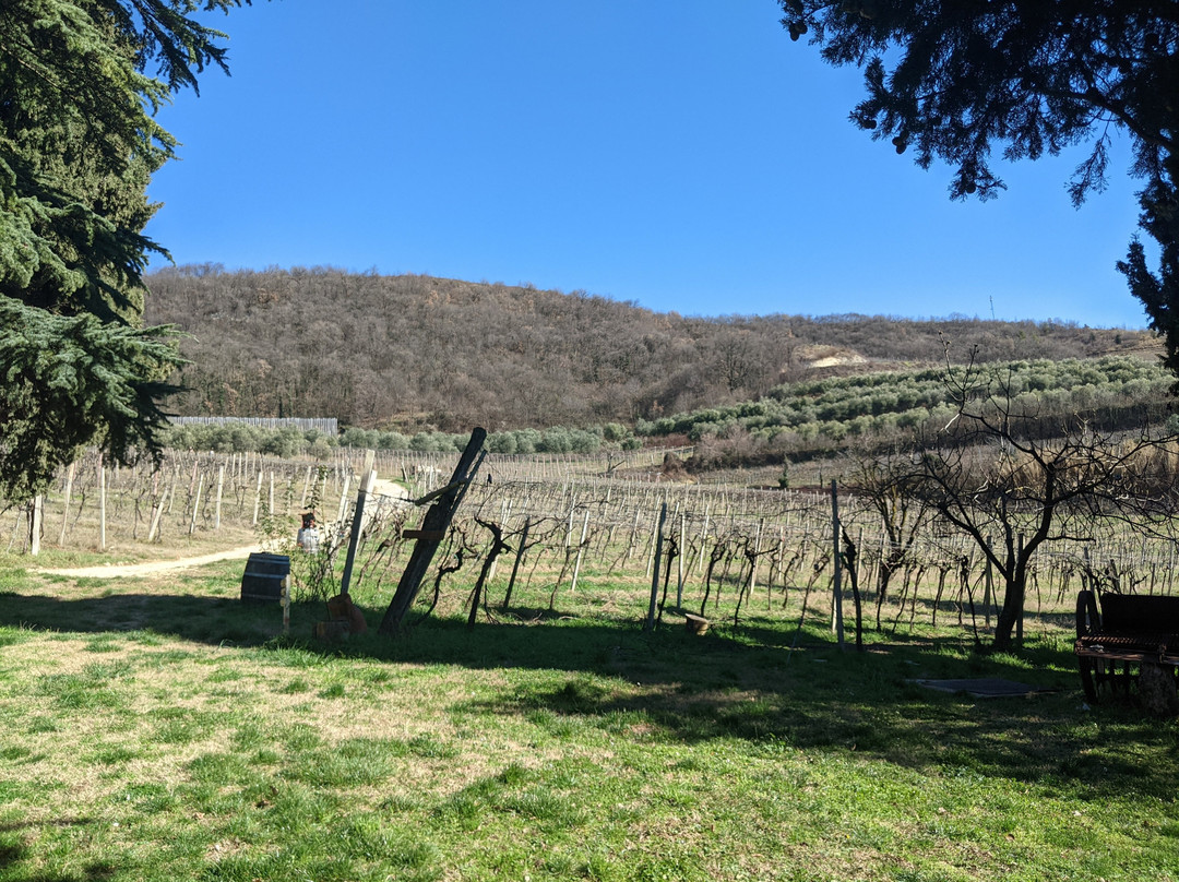 Massimago Winery and Country Relais主图