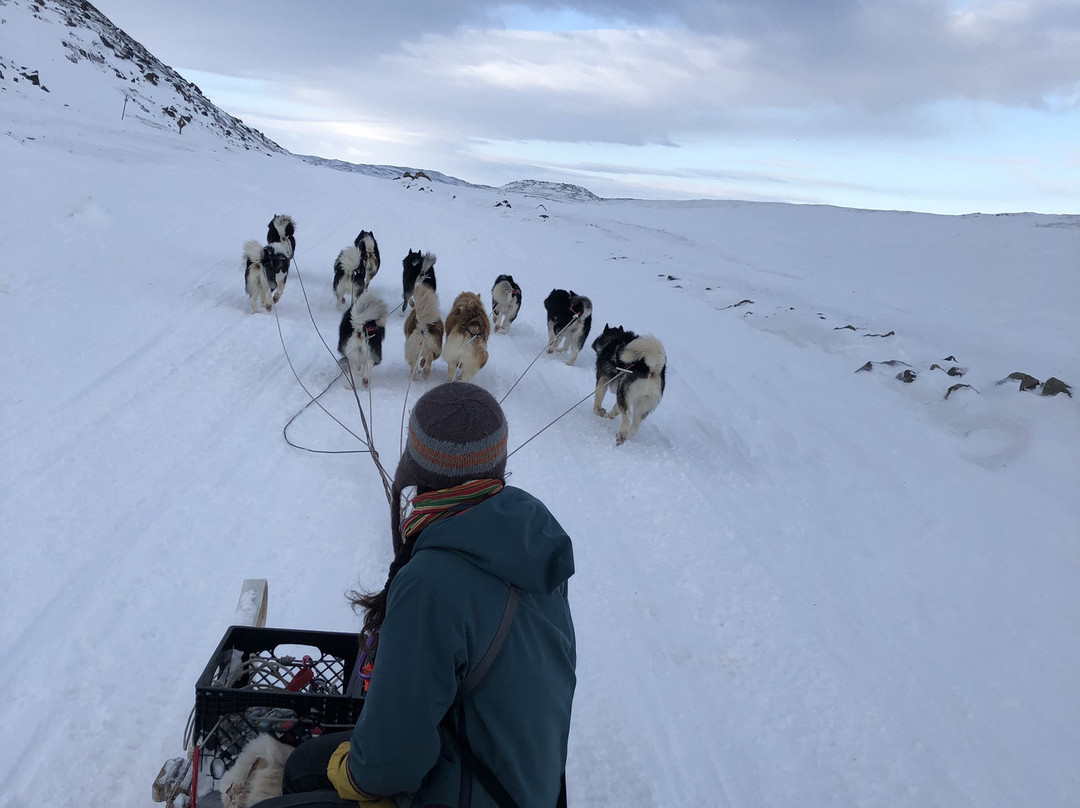 Inukpak Outfitting-Iqaluit必去景点