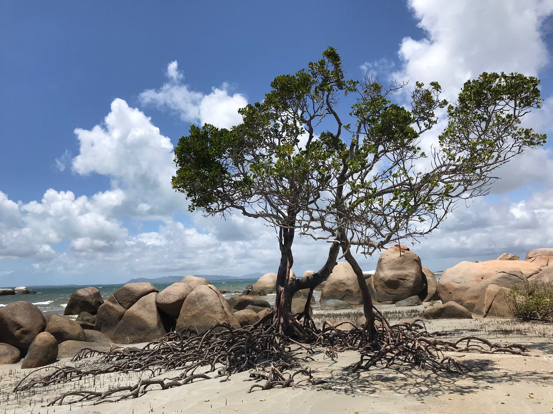 Great Northern Tours-库克敦必去景点