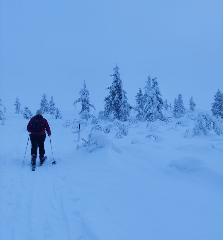 Roll Outdoors Saariselkä-撒利塞卡必去景点