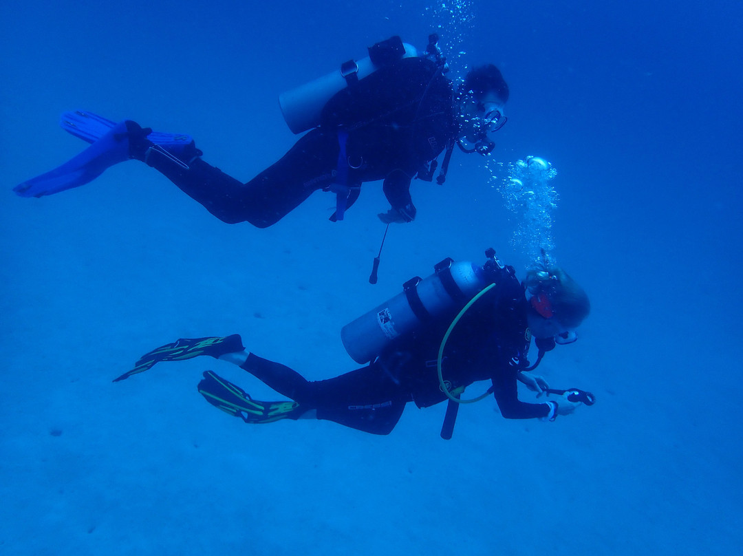 Aquanauts Dive Adventures景点图片
