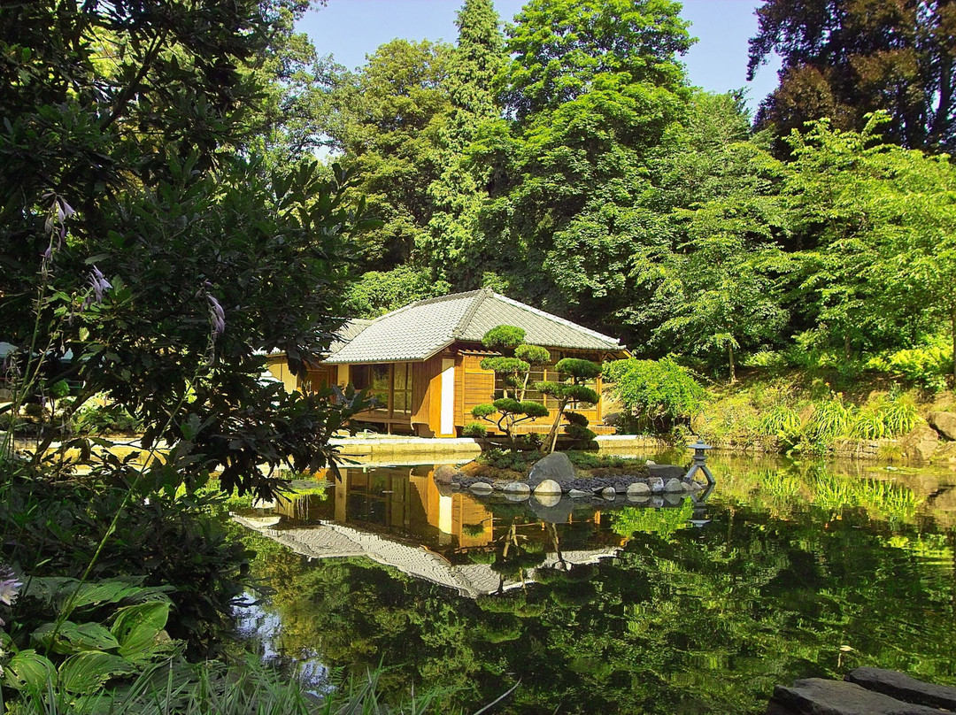 Holiday Inn Express Kaiserslautern by IHG主图