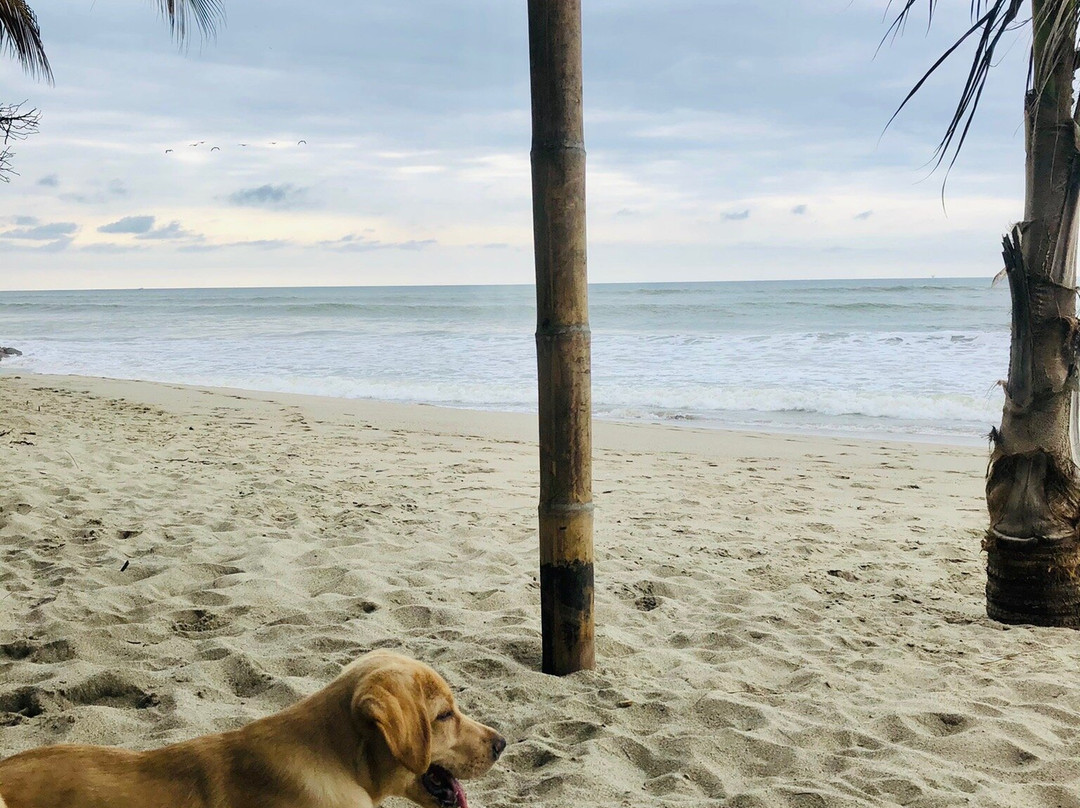 La Casa de Diego主图