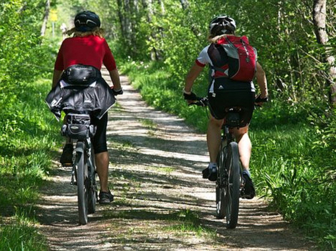 洛根快捷假日&套房酒店主图