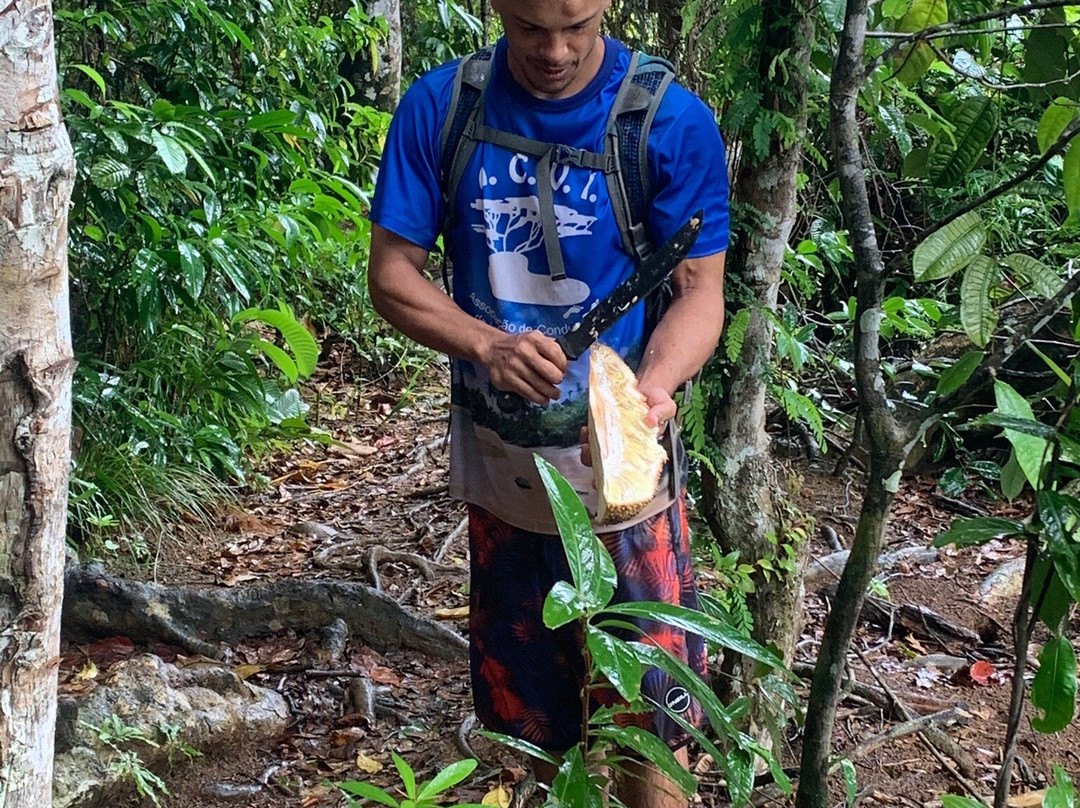 Brazil Trip Tour-Itacare必去景点