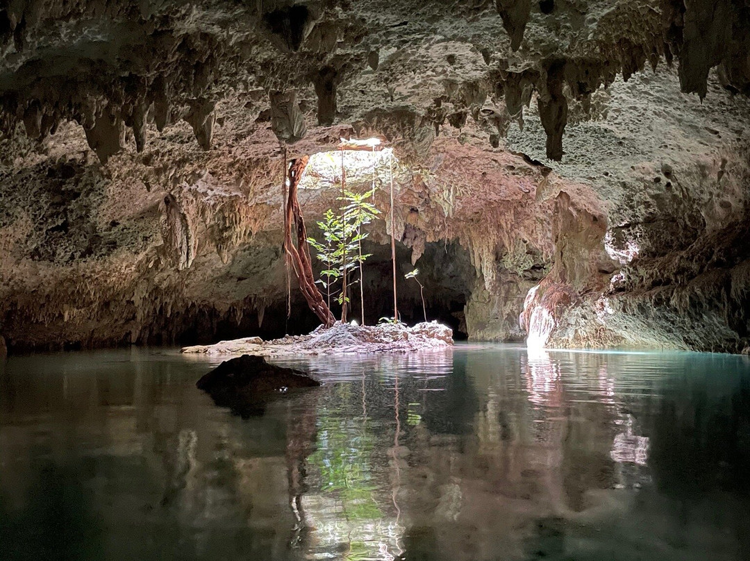 Cenotes Sac Actun景点图片