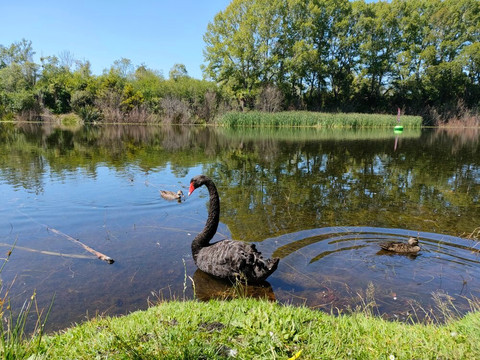 防波堤-基督城必去景点